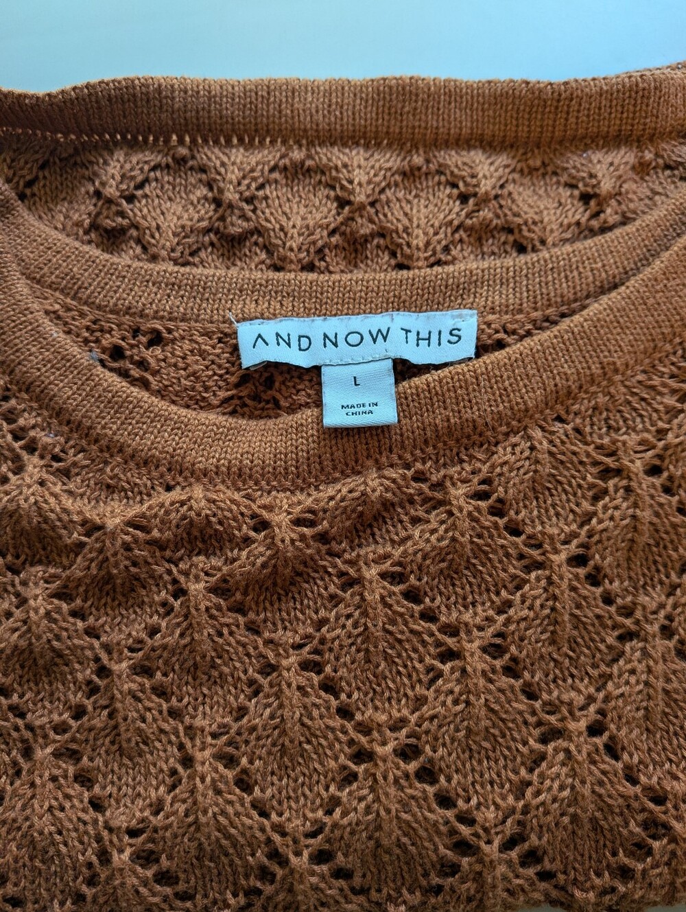 And Now This Rust Orange Open-Knit Short Sleeve Crop Sweater - Picture 6 of 6
